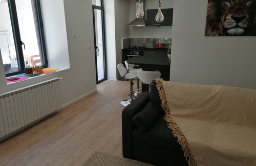 Villeboeuf - Fauriel - Vivaraize Apartment | BECOSY Saint Etienne - 3 bedroom apartment - 6 people - downtown