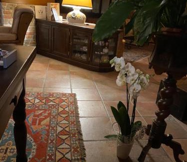 San Salvatore Monferrato Bed & Breakfast | Bed And Breakfast Olimpia