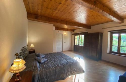 Castelnuovo don Bosco Bed & Breakfast | Bed and Breakfast La Volpe tra le Vigne
