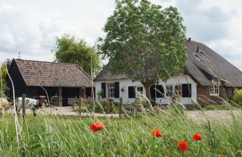 Epse Bed & Breakfast | Bed and Breakfast de Bosakker