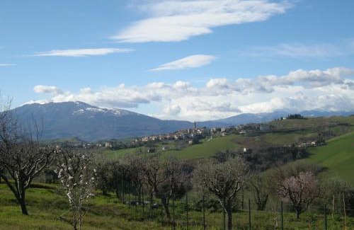 Castignano Bed & Breakfast | Bed And Breakfast San Martino