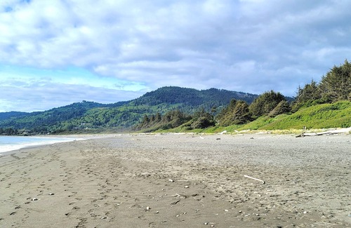 Crescent City Bed & Breakfast | Bed and Breakfast amongst the trees and forest