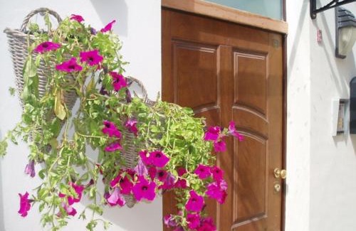 Montesilvano House | Bed And Roses