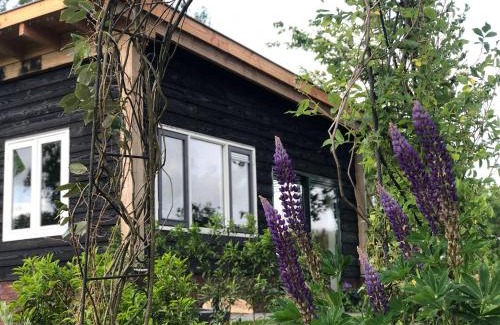 Municipality of Lochem Bed & Breakfast | Bed & Breakfast Bij de Wilg