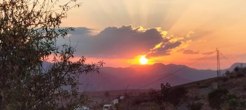 Alora Bed & Breakfast | Bed & Breakfast Casa Ceratonia