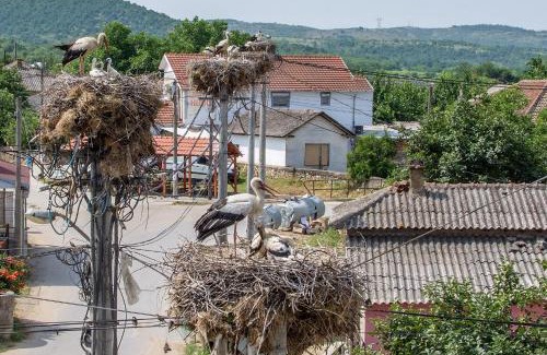 Stojakovo Bed & Breakfast | Bed & Breakfast Delikates