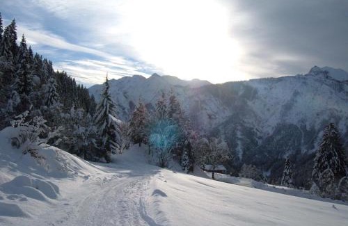 Assling Bed & Breakfast | Bed & Breakfast Dolomiti Bey Haus Pinter