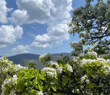 Tatev Bed & Breakfast | Bed & breakfast Gevorgyans'