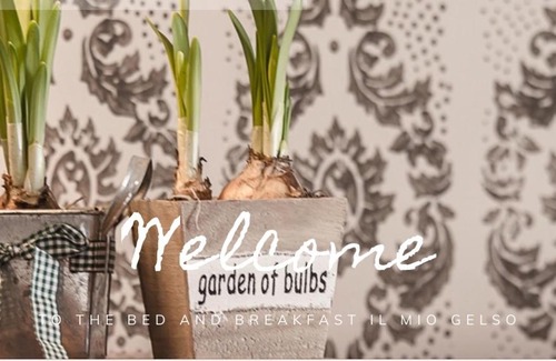 Villanova d'Asti Bed & Breakfast | Bed & Breakfast Il mio Gelso