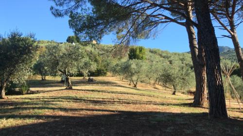 Nozanno Bed & Breakfast | Bed&Breakfast La Madonnina