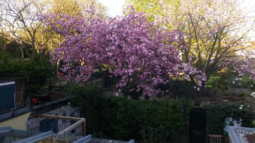 Hof van Delft Bed & Breakfast | Bed en Broodje Bloem
