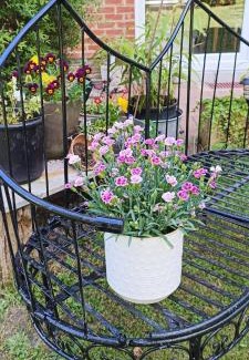 Bouge House | Bed vue sur vallée de la Meuse Namur