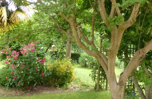Loubieres Bed & Breakfast | Bedbreakfastbikespyrenees
