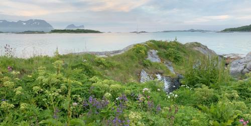 Skaland Other | BEDEHUSET Basecamp Senja