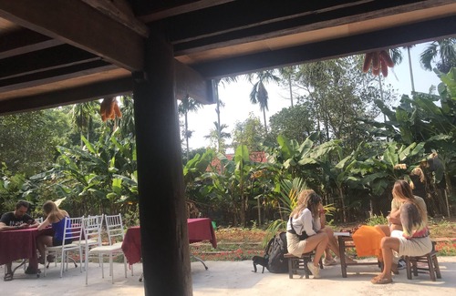 Cat Hai House | Bee Lucky Homestay