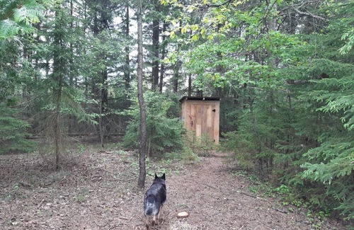 Adjala-Tosorontio Cabin | Beeberry Cottage