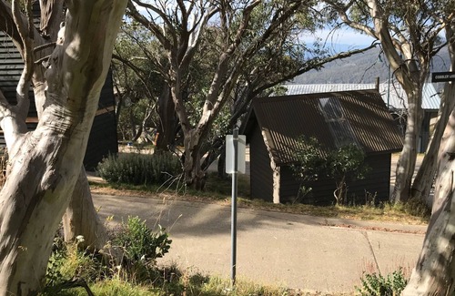 Mount Buller Apartment | BEEHIVE 18: Mt Buller Village - SKI IN/SKI OUT Burke Street Run