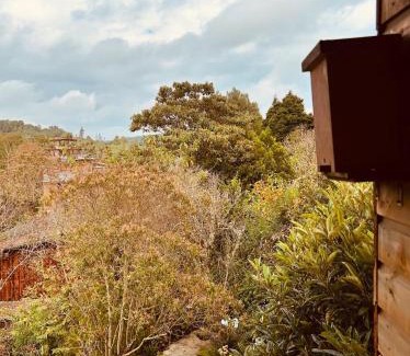 Guarne House | Beehouse Arví Cabaña