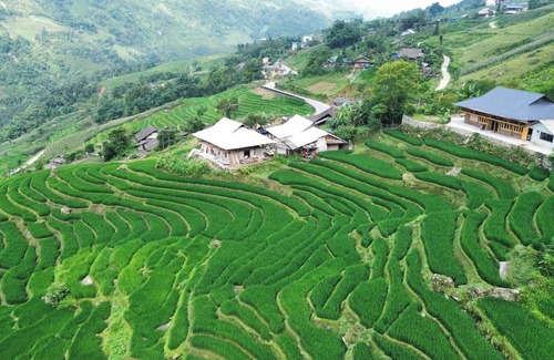 Sa Pa Ski Chalet | Bees Homestay Sapa & Trekking