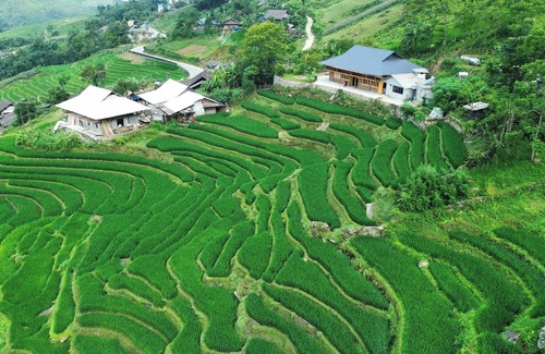Sa Pa Ski Chalet | Bees Homestay Sapa & Trekking