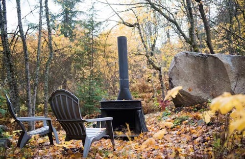 Nelson Cabin | Bees Knees in the Trees Tiny Home - Hot Tub, Sauna & Cold Plunge