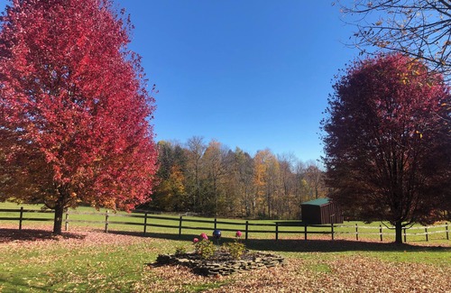 Cherry Valley House | Begin your “Great Escape” in our charming country home! 3 bedrooms w/WiFi & AC