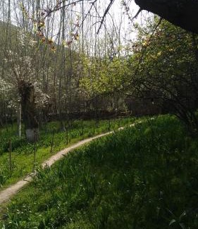 Nurata District Apartment | Begmurod guesthouse