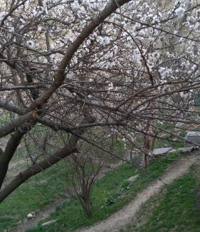 Nurata District House | Bekmurod Guest House