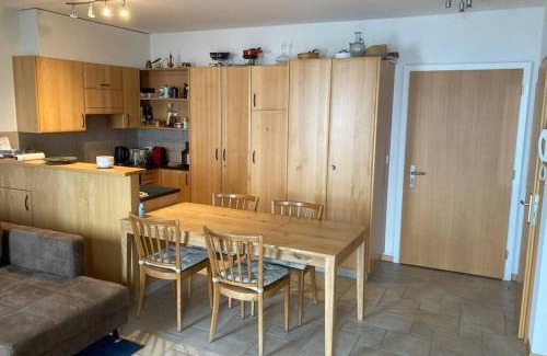 Finhaut Apartment | Bel appartement 2.5 pièces avec balcon, magnifique vue sur le glacier des Grands