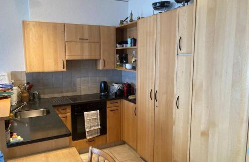 Finhaut Apartment | Bel appartement 2.5 pièces avec balcon, magnifique vue sur le glacier des Grands