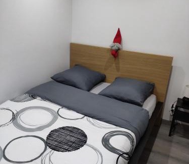 Zillisheim Apartment | Bel appartement entier F1 à 5 mn de Mulhouse