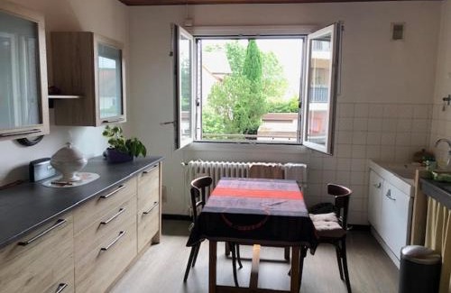 Valentigney Apartment | Bel appartement