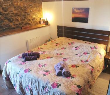 Arganil House | Bela Vista Alqueve - traditional stone house and private pool
