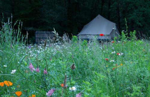 Champagnac-de-Belair Other | Belair le Camping