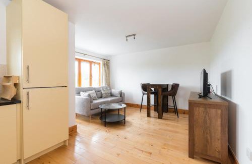 Sandyford Apartment | Belarmine
