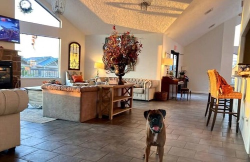 Willis Resort | Belas Resort