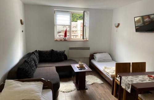 Brzece Apartment | Bele Staze 3a Kopaonik, Brzece