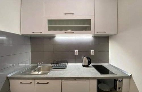 Brzece Apartment | Bele staze Kopaonik z