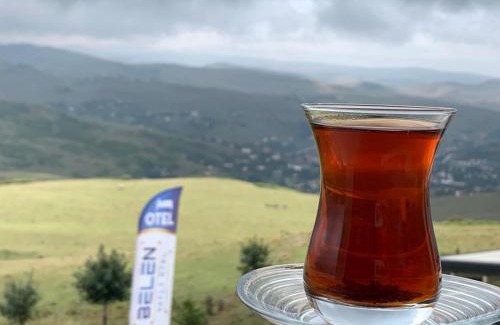 Aybastı Hotel | Belen Yayla Otel