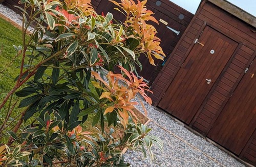Mount Hawke RV Rental | Bell Tent Grass Pitch