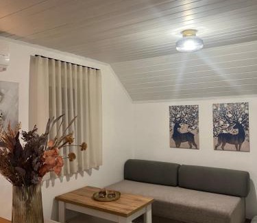 Podcetrtek Apartment | Bella Mura Nature Apartment Lipa 97