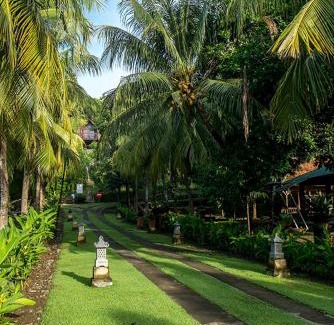 Kalipuro House | Bella Vista Premium Homestay