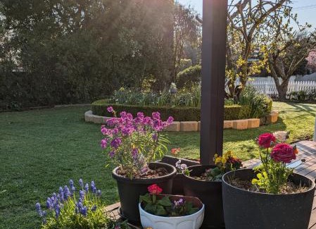 Longford House | Bellamona Cottage Longford