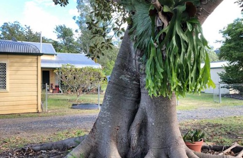 Bellbrook House | Bellbrook Historic Getaway at Bellmeadow Homestead