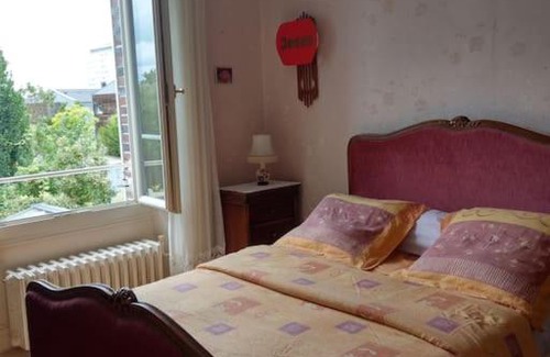 Romilly-sur-Seine Apartment | Belle chambre lumineuse et chaleureuse