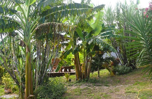 Anse-Bertrand House | belle créole