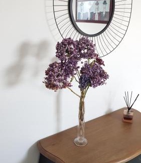 Beganne Bed & Breakfast | BELLE VISNONIA B&B gluten free & traditional