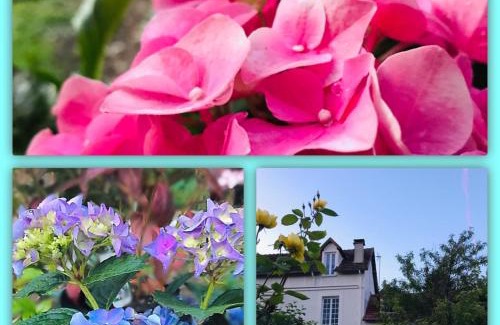 Giverny Bed & Breakfast | Belle Vue Terrasse