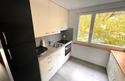 Ringgenberg Apartment | Bellevue Apartment