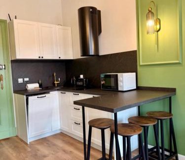 Sroda Slaska Apartment | Belvedere Old Town with Balcony AC Progres